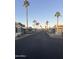 Long community road with palm trees on both sides at 9427 E University Dr # 46, Mesa, AZ 85207