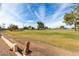 Scenic view of a lush green golf course at 17434 N Conquistador Dr, Sun City West, AZ 85375