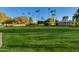 Large grassy backyard with mature trees and landscaping at 8701 E Highland Ave, Scottsdale, AZ 85251