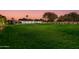 Expansive grassy backyard with mature trees and landscape lighting at 8701 E Highland Ave, Scottsdale, AZ 85251