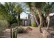 Landscaped front yard with desert plants, large rocks, and a paved driveway at 10040 E Happy Valley Rd # 504, Scottsdale, AZ 85255