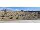 Landscaped open space with desert plants and walking paths at 2384 E Spur Dr, San Tan Valley, AZ 85140