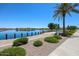Lakefront walkway with a wooden dock and lush landscaping at 39995 W Bravo Dr, Maricopa, AZ 85138