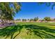 Community park with grassy area and mature trees at 44033 W Palo Olmo Rd, Maricopa, AZ 85138