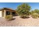 Landscaped backyard with gravel and citrus tree at 3671 N Monument Dr, Florence, AZ 85132