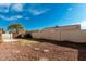 Landscaped backyard with gravel, stepping stones, and block wall at 3821 W Dublin St, Chandler, AZ 85226