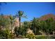 Landscaped grounds with palm trees and mountain views at 4446 E Camelback Rd # 111, Phoenix, AZ 85018