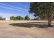 Spacious park with mature trees and open field at 1026 N 85Th Pl, Scottsdale, AZ 85257