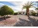 Large backyard with gravel and mature citrus trees at 12930 W Seville Dr, Sun City West, AZ 85375