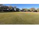 Green grass golf course with trees in the background at 1298 W Calle Tuberia --, Casa Grande, AZ 85194
