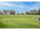 Landscaped golf course with a pond at 8257 E Dutchman Dr, Mesa, AZ 85208