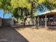 Relaxing backyard patio area under a shade tree at 6362 S Callaway Dr, Chandler, AZ 85249