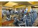 Fitness center with various exercise equipment at 7266 W Meadowlark Way, Florence, AZ 85132