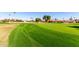 View of a lush green golf course with residential homes in the background at 13918 W Summerstar Dr, Sun City West, AZ 85375