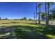 Expansive green golf course at 10830 W Amber Trl, Sun City, AZ 85351