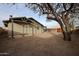 Spacious backyard with gravel and a large tree providing shade at 723 W 5Th Ave, Apache Junction, AZ 85120