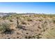 Desert lot with mountain views and some cacti at 1907 W Brooke Ln, Queen Creek, AZ 85144