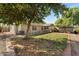 Large backyard with grassy area, mature trees, and storage shed at 1964 W Sawtooth Way, San Tan Valley, AZ 85144