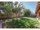 Large backyard with lush grass, mature trees, and a stone retaining wall at 5213 W Sweetwater Ave, Glendale, AZ 85304