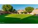 Large grassy backyard, lush lawn, great for and pets at 6234 W Maya Dr, Phoenix, AZ 85083