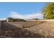 House exterior with a large backyard and landscaping at 6523 N 135Th Dr, Glendale, AZ 85307