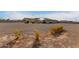 House exterior with a large backyard and gazebo at 6523 N 135Th Dr, Glendale, AZ 85307