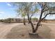 Exterior view of a single story home with a large front yard and desert landscaping at 1065 Buckboard Trl, Wickenburg, AZ 85390