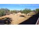 Natural desert landscape with native plants and sand at 23920 N 75Th St, Scottsdale, AZ 85255