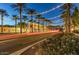 Night view of a street with palm trees and lights at 2949 N Acacia Way, Buckeye, AZ 85396