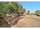Peaceful backyard with fruit trees and a view of neighboring homes at 10205 W Royal Oak Rd, Sun City, AZ 85351