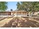 Backyard view, showcasing home's exterior and landscaping at 10205 W Royal Oak Rd, Sun City, AZ 85351