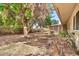 Backyard view, showcasing a large tree and grilling area at 10205 W Royal Oak Rd, Sun City, AZ 85351