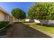 Backyard with grass, fruit trees, and a patio at 10728 W Cheryl Dr, Sun City, AZ 85351