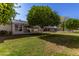 Spacious backyard with lush grass and mature trees at 10728 W Cheryl Dr, Sun City, AZ 85351