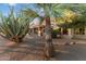 Backyard oasis with desert plants and a large patio at 13555 W Via Tercero --, Sun City West, AZ 85375