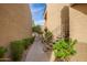 Walkway between condo buildings with landscaping and stairs at 2228 N 52Nd St # 240, Phoenix, AZ 85008