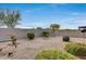 Landscaped backyard with gravel, small bushes, and a table at 17957 W Fairview St, Goodyear, AZ 85338