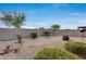Landscaped backyard with gravel, small bushes, and a table at 17957 W Fairview St, Goodyear, AZ 85338