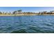 Tranquil lake view, palm trees and blue sky at 17957 W Fairview St, Goodyear, AZ 85338
