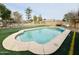 Relaxing kidney-shaped pool in backyard with artificial turf at 8626 W Gross Ave, Tolleson, AZ 85353