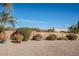 Landscaped backyard with desert plants and gravel, offering a low-maintenance and attractive outdoor space at 15110 E Palomino Blvd, Fountain Hills, AZ 85268