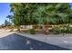 Mature trees and landscaping around the property at 9840 N 111Th Pl, Scottsdale, AZ 85259