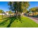 Landscaped grounds with lawn, trees, and a street view at 1136 N 84Th Pl, Scottsdale, AZ 85257