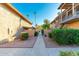 Shared walkway between condo buildings with landscaping and trees at 1136 N 84Th Pl, Scottsdale, AZ 85257