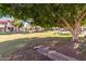 Community green space with large tree and picnic table at 30 E Brown Rd # 2053, Mesa, AZ 85201