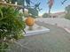 Landscaped backyard with gravel and citrus tree at 24809 S Drifter Dr, Sun Lakes, AZ 85248