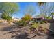 Landscaped backyard with gravel, plants and a vintage bike at 21002 N Totem Dr, Sun City West, AZ 85375