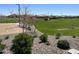 Community basketball court and grassy play area at 16068 W Questa Dr, Surprise, AZ 85387