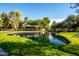 Serene pond with lush landscaping and a wooden footbridge at 1972 W Olive Way, Chandler, AZ 85248