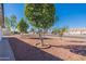 Landscaped backyard with mature trees and gravel at 201 E 9Th St, Casa Grande, AZ 85122